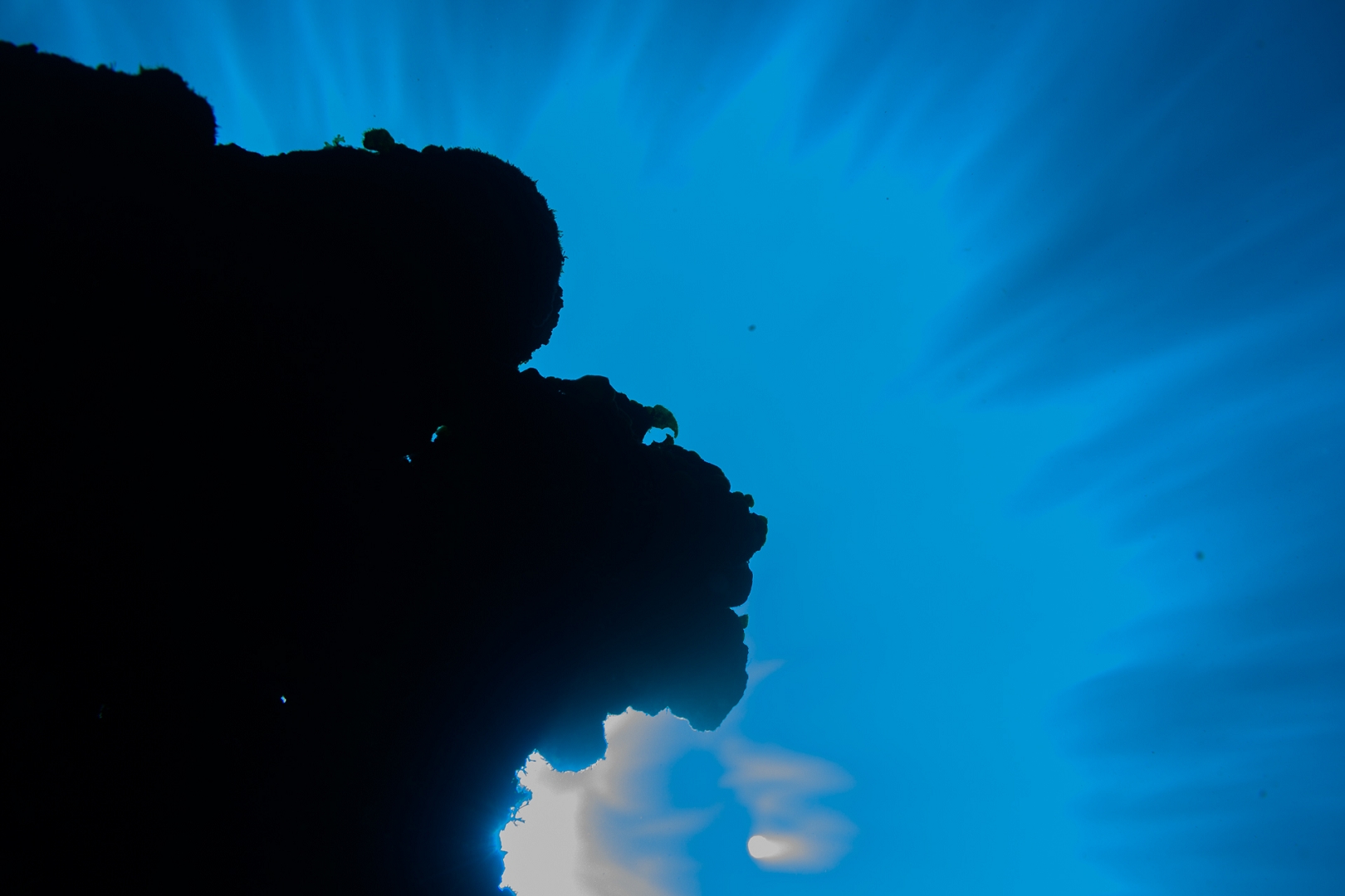 190317-102754-7-D850-2.jpg