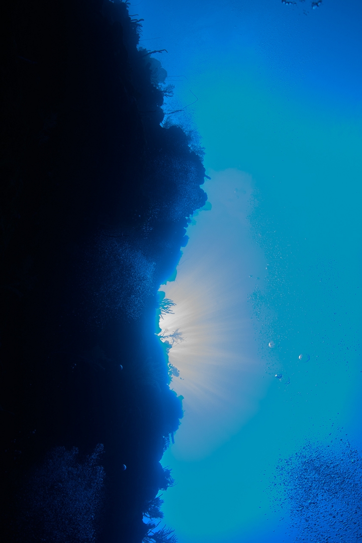 190319-084553-1-D850-2.jpg