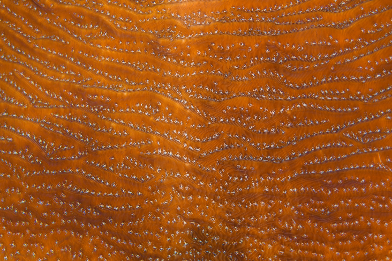 190319-140715-9-D850-2.jpg