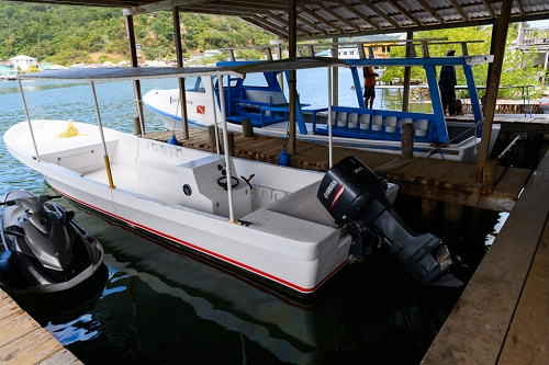 March 22, 2019<br>The two dive boats.  We love the Henry Morgan in the rear.