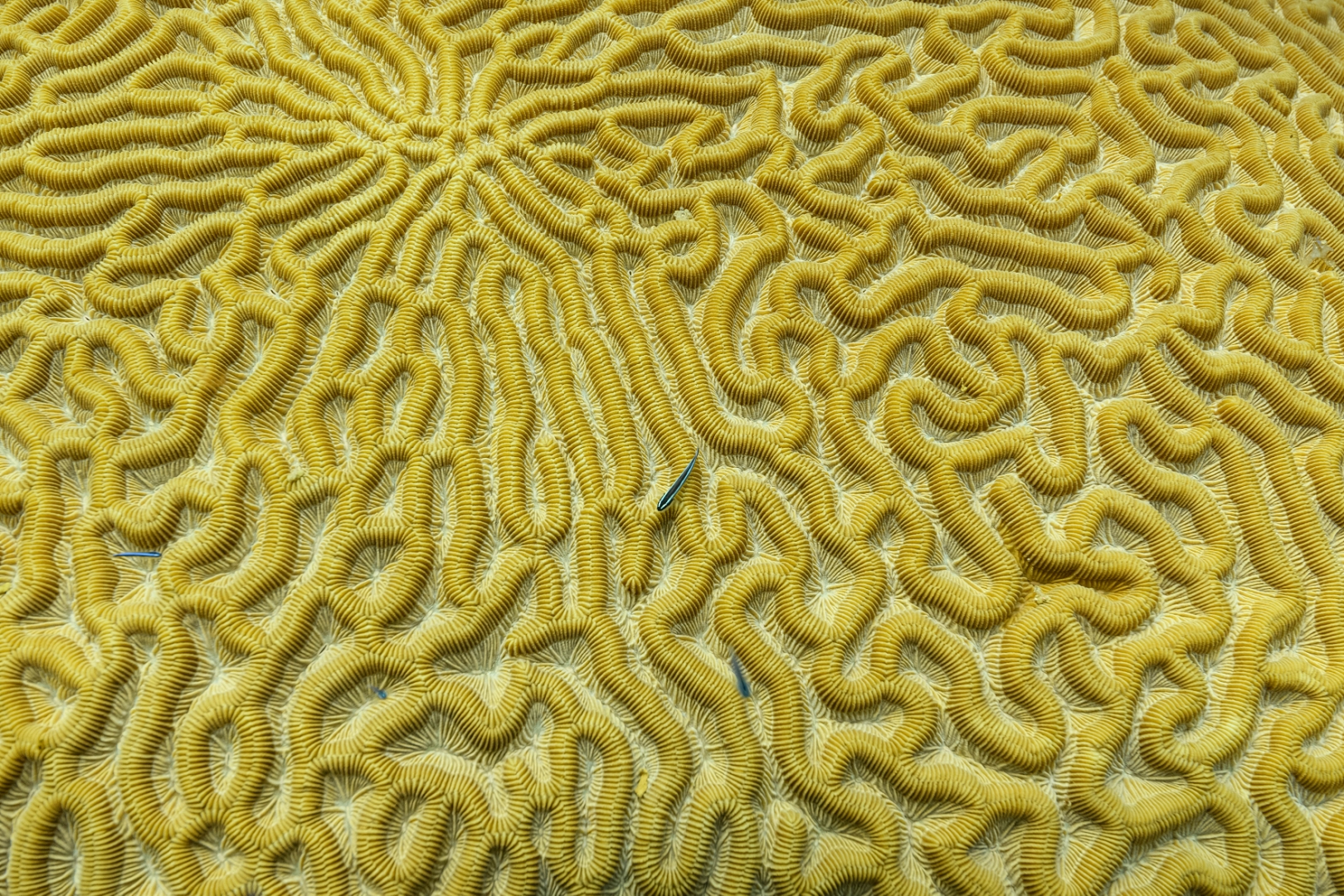 190925-104142-9-D850.jpg