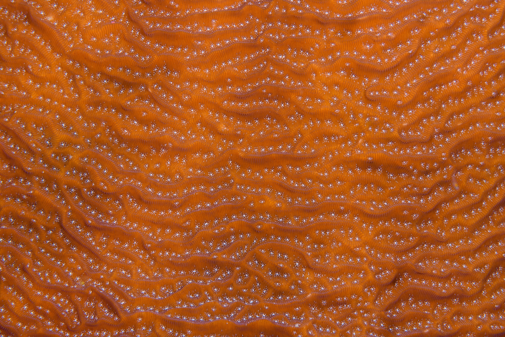 190925-135934-7-D850.jpg