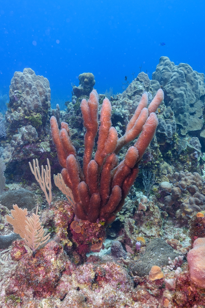 191002-111225-4-D850.jpg