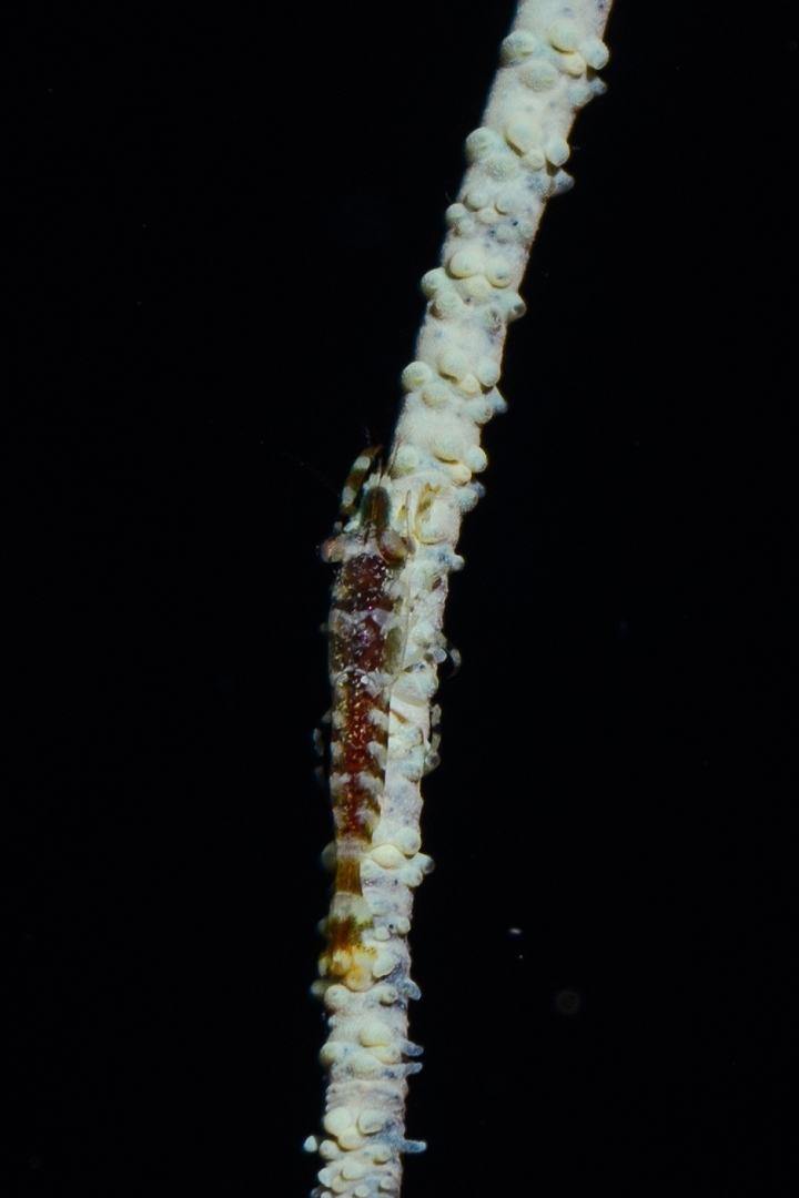 191004-102324-2-D850.jpg