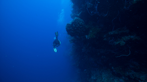 10/2/2021<br>Following David along the wall at about 75 feet.