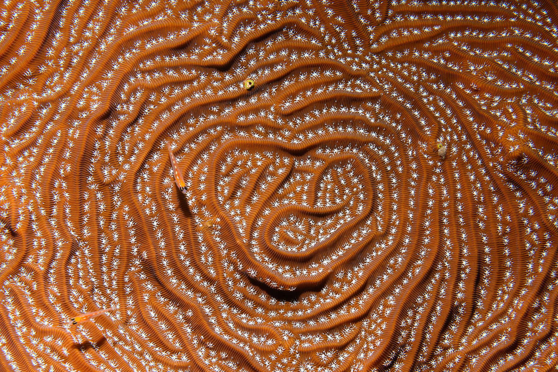 220905-110132-3046-9.jpg