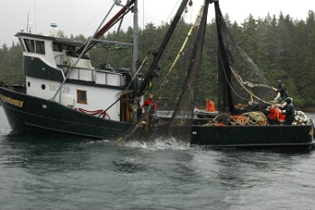 Salmon fishing near Sitka, Alaska