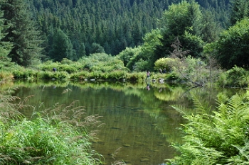 Hoonah, Alaska