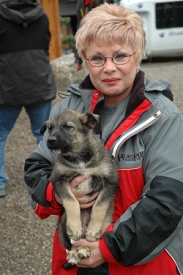 Jeff King dog kennel, Alaska