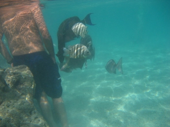 Hanauma Bay, Oahu