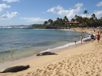 Kauai, Hawaii