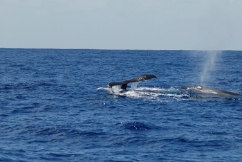 Kauai, Hawaii