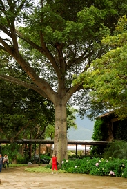 Antigua, Guatemala