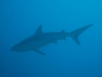 Roatan, Honduras