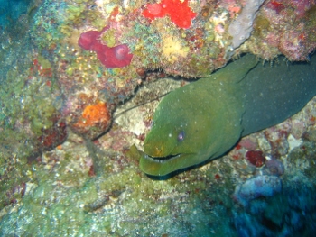 Roatan, Honduras