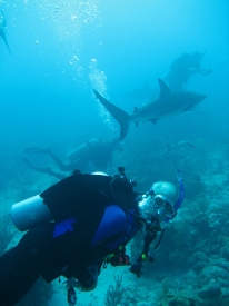 Roatan, Honduras