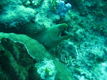 Roatan, Honduras