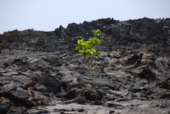 Big Island, Hawaii