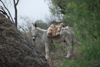 Gran Caneria, Spain