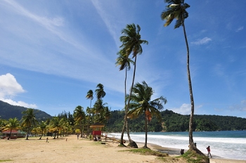 Trinidad & Tobago