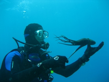 Diving around Maui