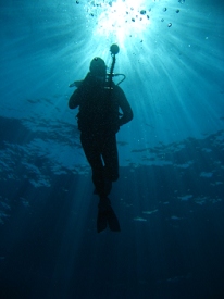 Diving around Maui