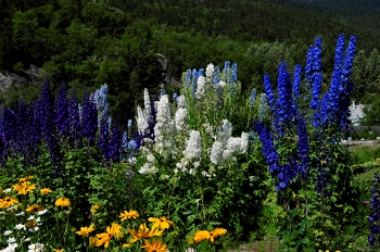 Skagway, Alaska