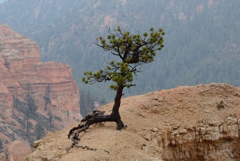 Bryce Canyon, Utah