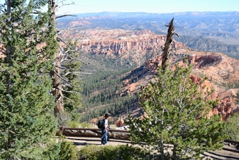 Bryce Canyon, Utah