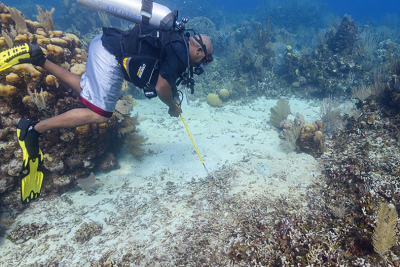 David is looking at a large flounder in the sand<br>10/1/2019 - 2:47:24 PM