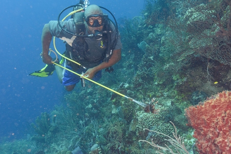 David, Roatan<br>October 2, 2018